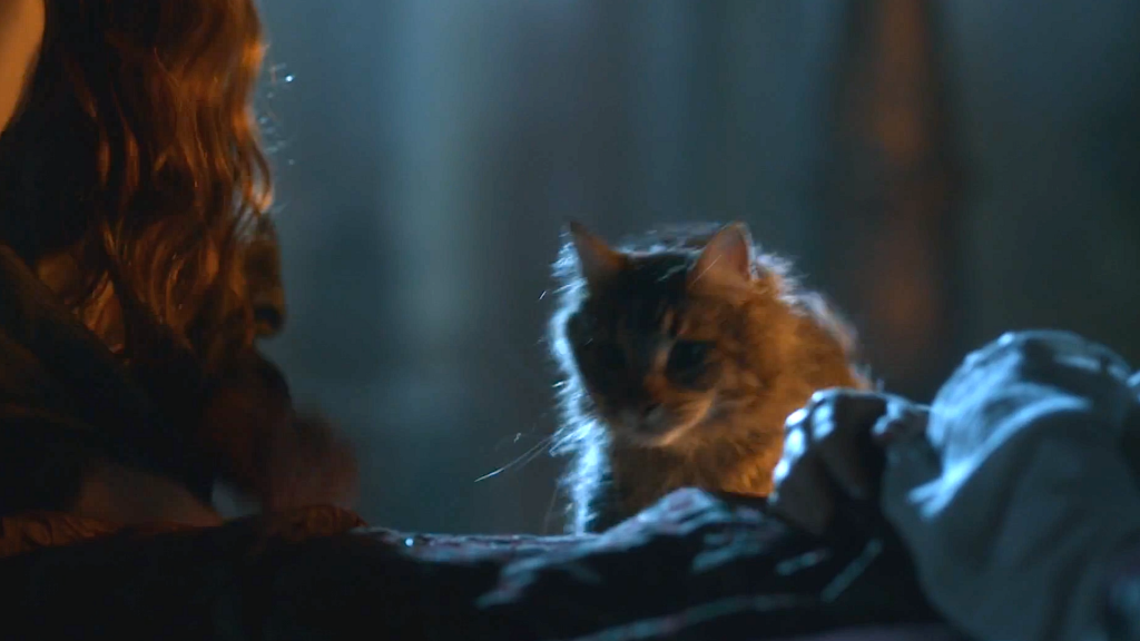SER POUNCE, EVERYTHING ELSE IS UNIMPORTANT